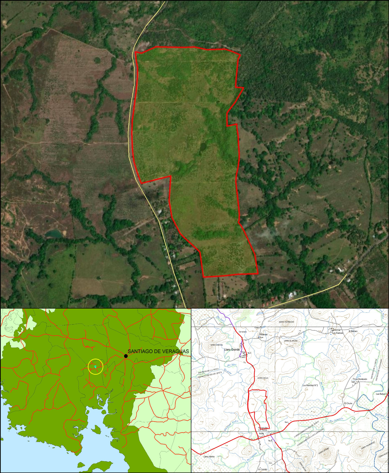 Imagen 6 – composición vertical de Aclita II